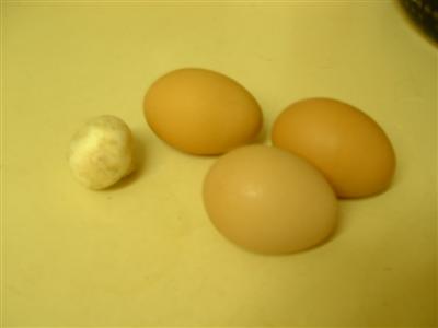 3 eggs 1 mushroom