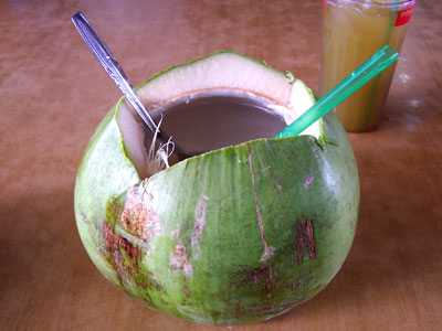 Coconut